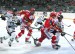264527_sport-hokej-vrbata